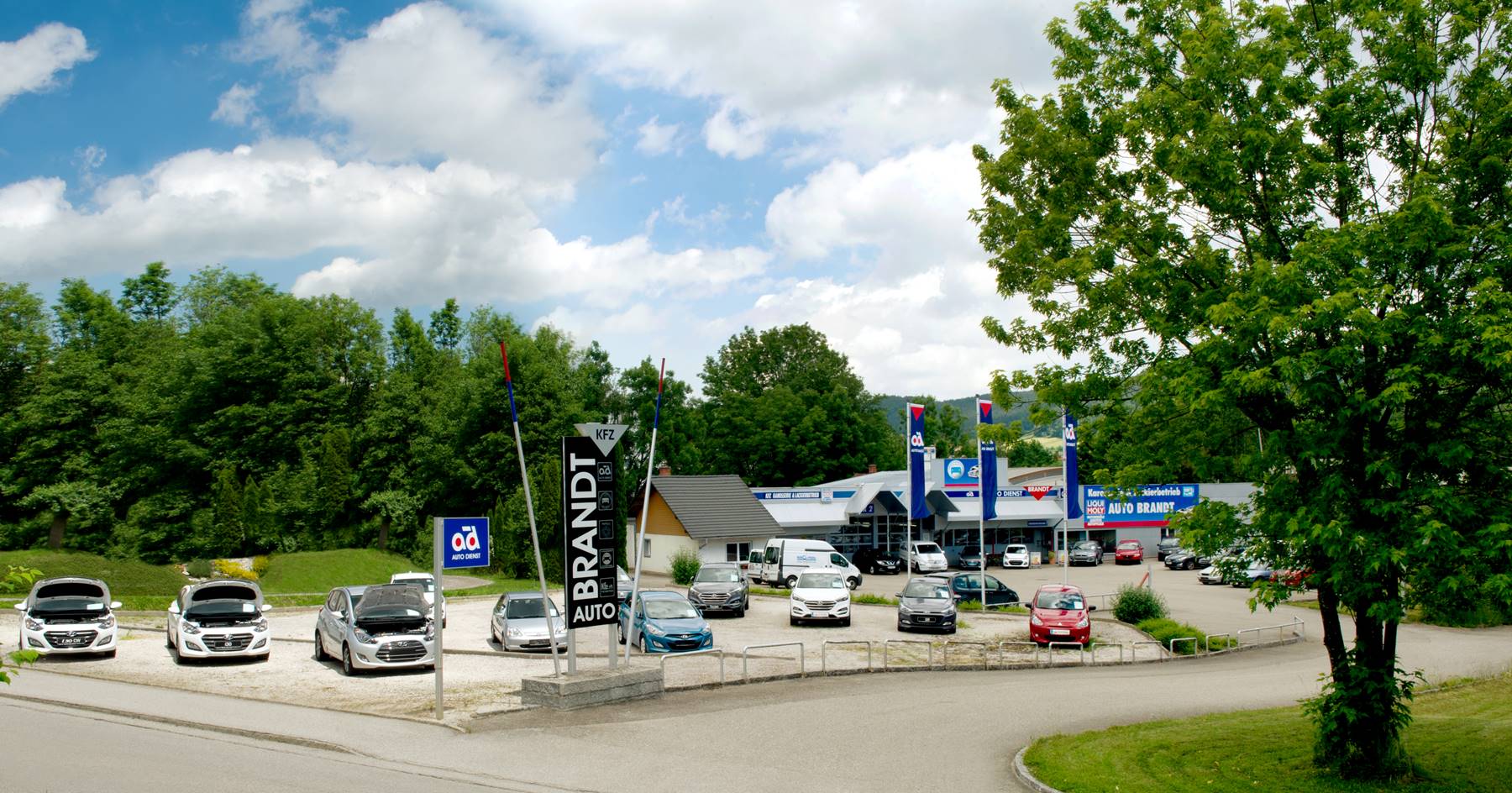 Auto Brandt e.U.